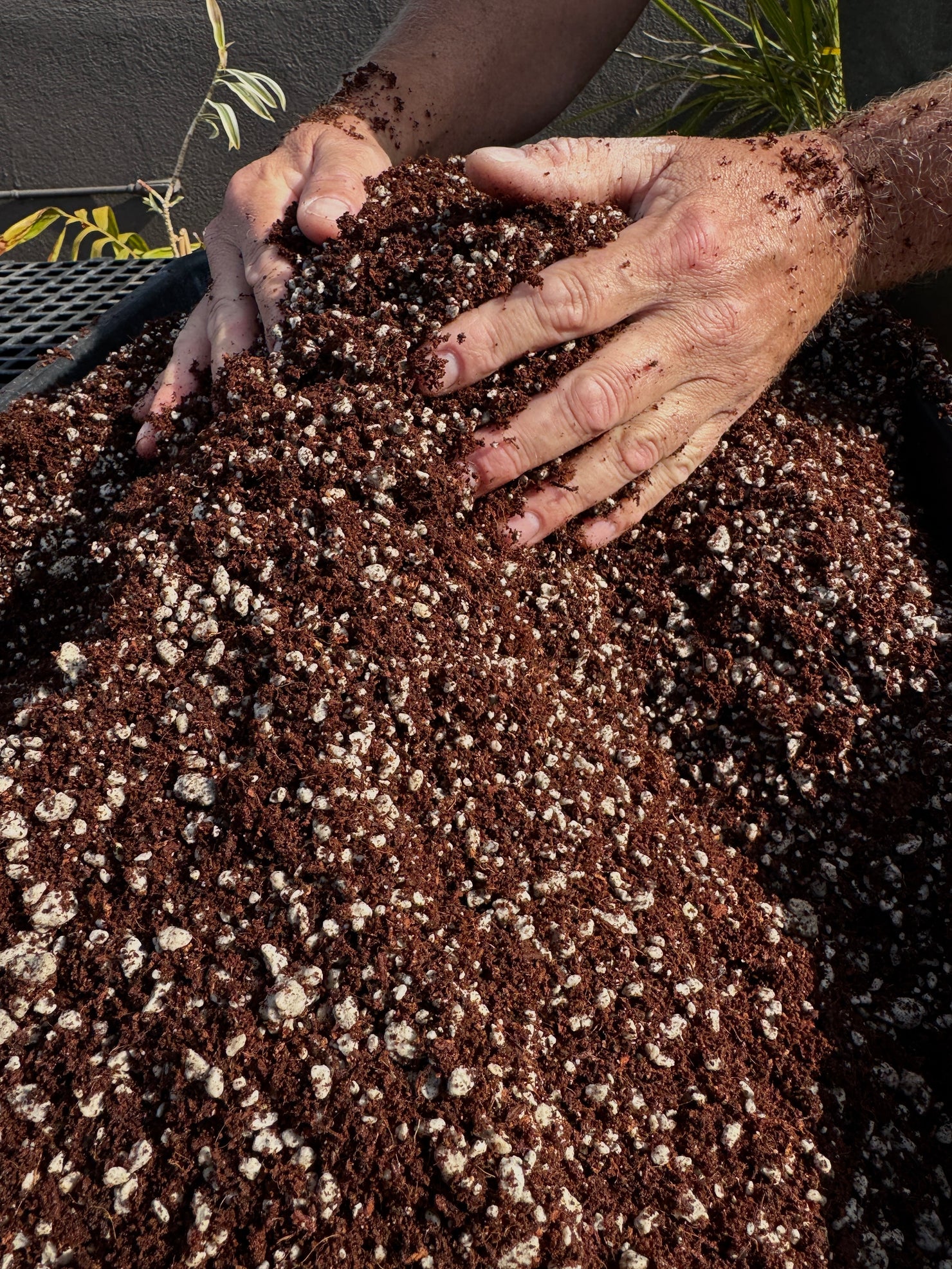 Soil