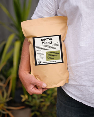 Cactus Blend Soil Mix