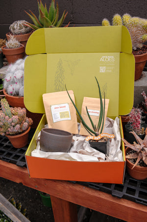 Arch Rock Aloes Collectors Club