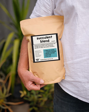 Succulent Blend