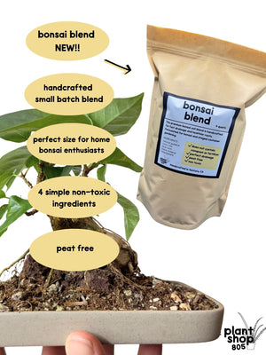 Bonsai Blend Soil Mix