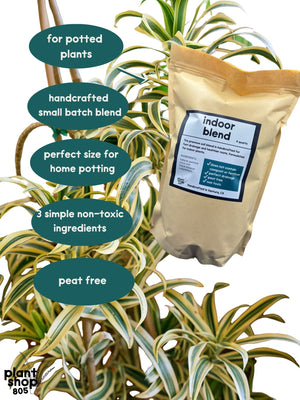 Indoor Soil Blend