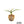 Yucca carnerosana — Seed Grown | Giant Spanish Dagger