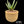 Aloe rupestris × Aloe excelsa