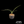 Yucca potosina