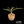 Yucca carnerosana — Seed Grown | Giant Spanish Dagger