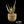 Aloe labworana hybrids