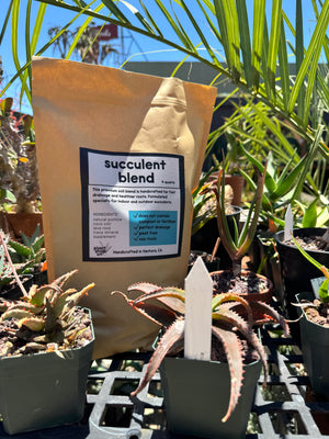 Succulent Blend
