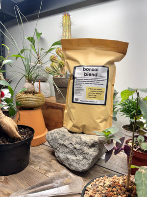 Bonsai Blend Soil Mix