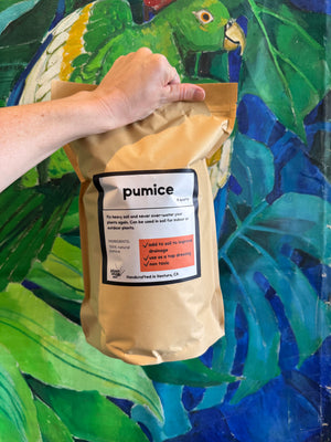 Pumice