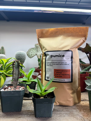 Pumice