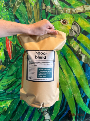 Indoor Soil Blend