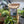 Indoor Soil Blend
