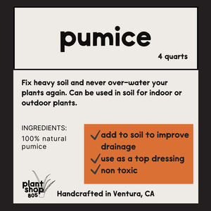 Pumice