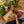 Indoor Soil Blend