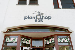 Building facade with 'plant shop 805' sign and 'PLANTS' signs in windows