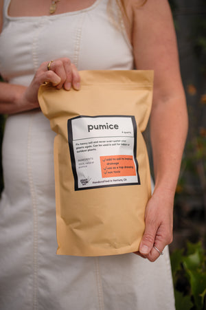Pumice