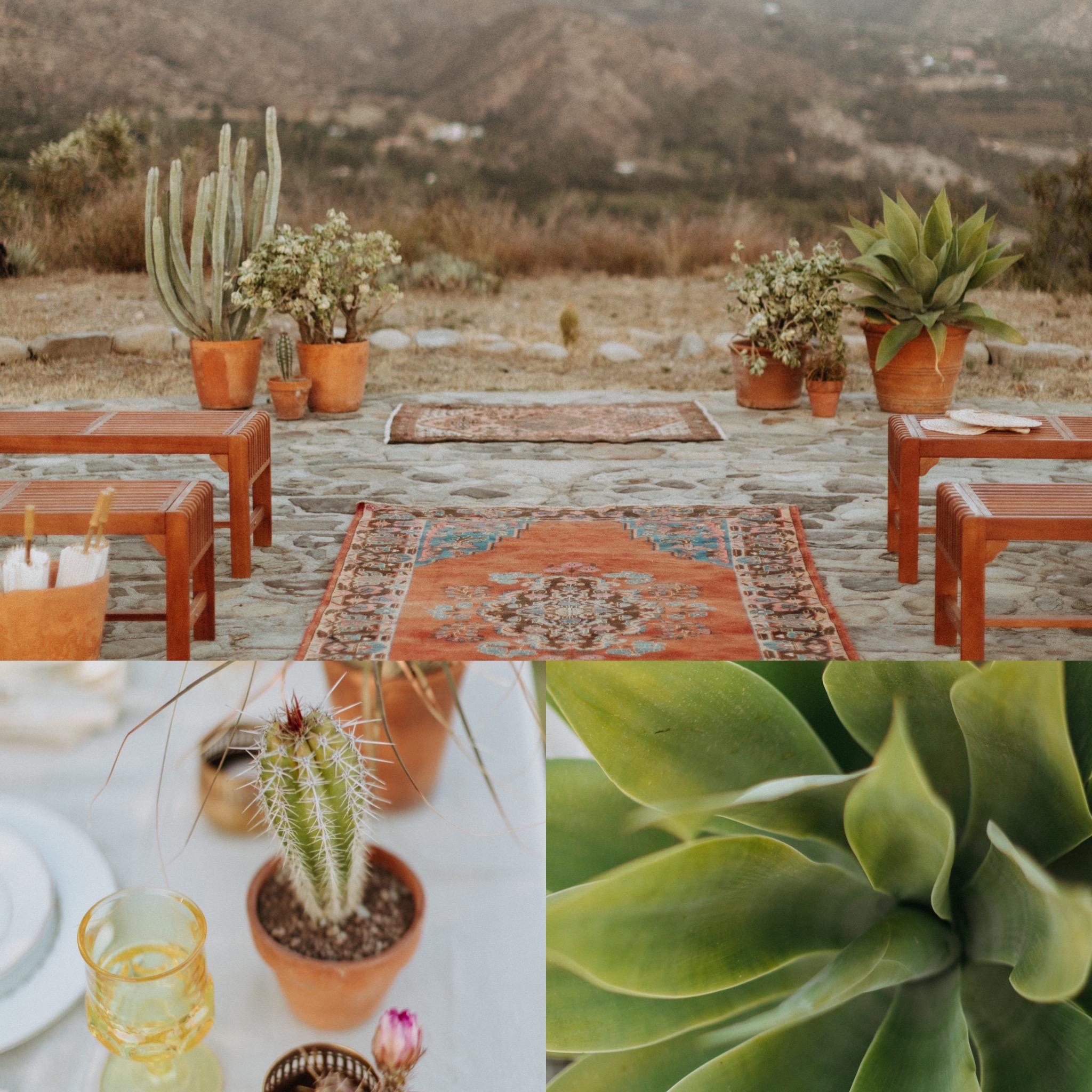 plant rentals southern california events