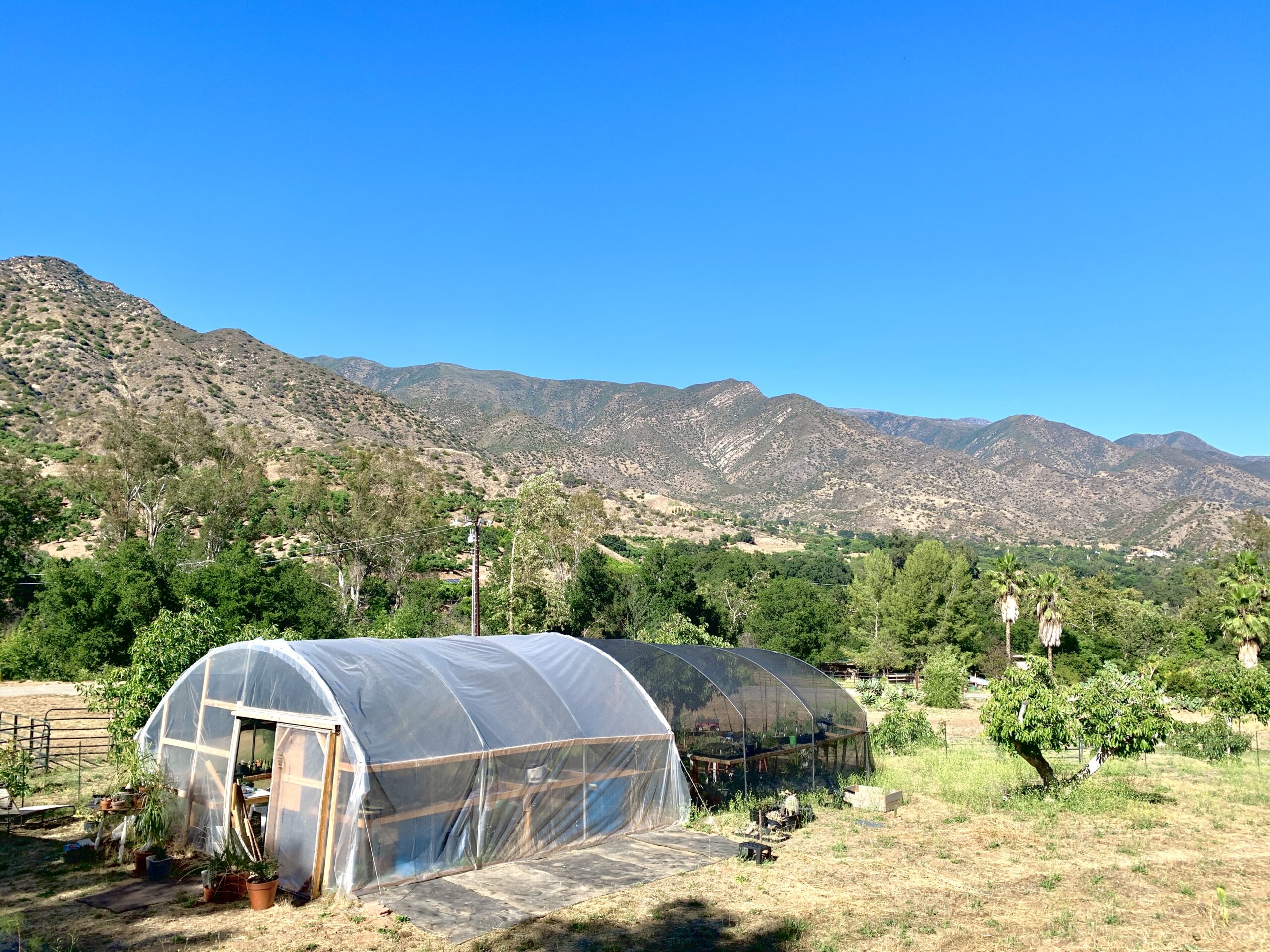 ojai plant shop nursery