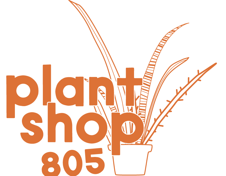 Winter Events at Plant Shop 805