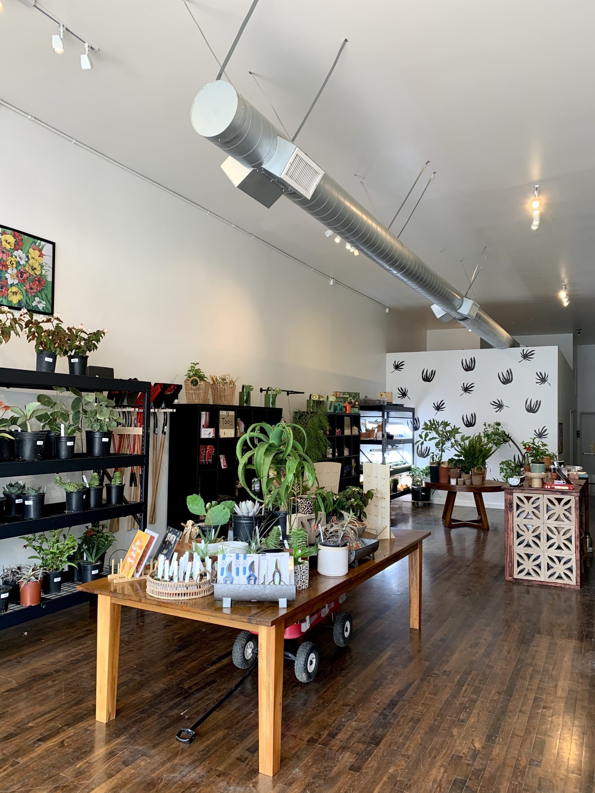 plant shop 805 owners