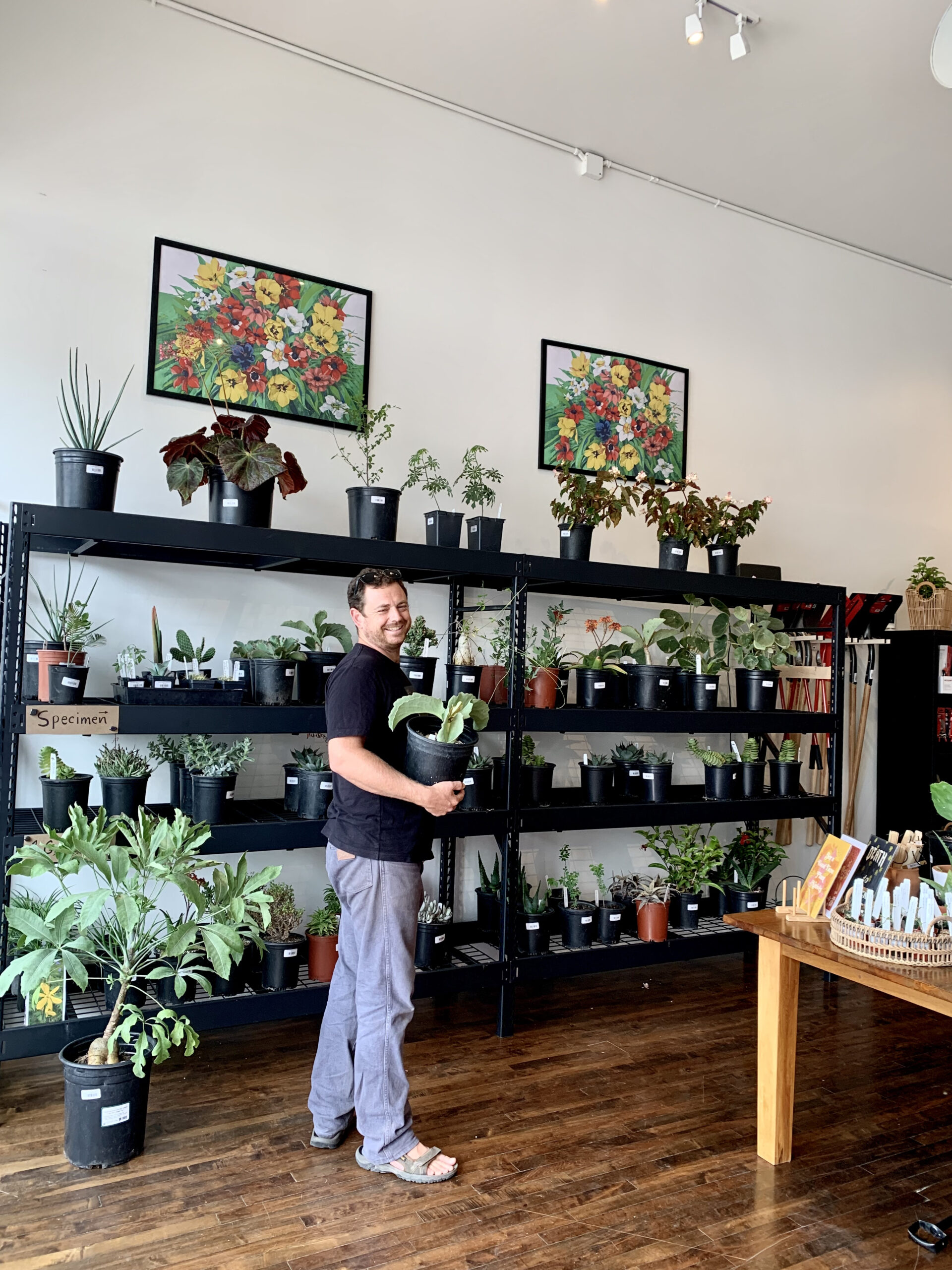 IMG_4867 plant shop 805 nursery