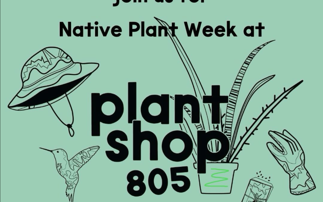 Spring Events at Plant Shop 805