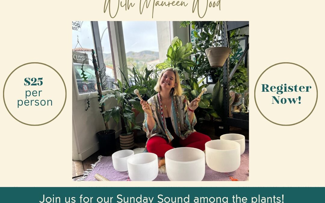 Fall Events at Plant Shop 805