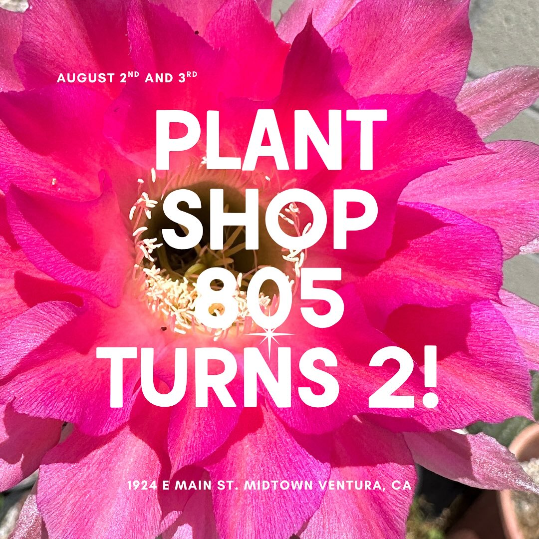 ps805 turns 2