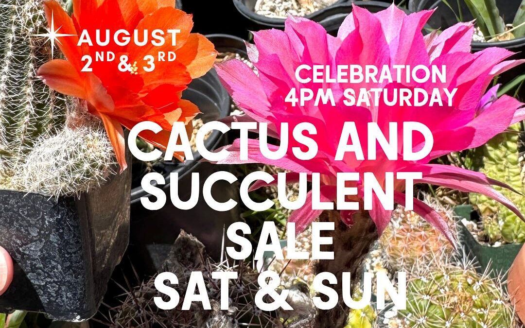 Plant Shop 805 turns 2!