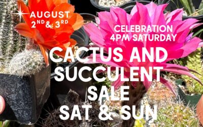 Plant Shop 805 turns 2!